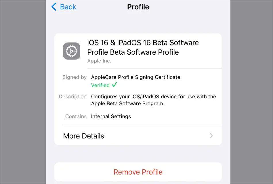 ipados beta profile