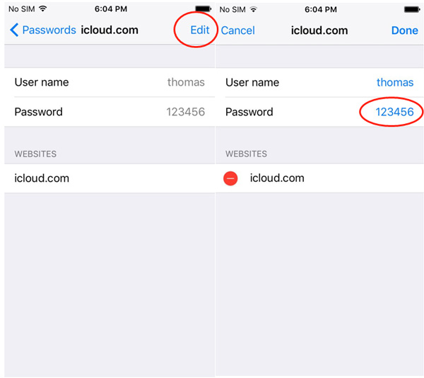 how to look at my saved passwords on mac